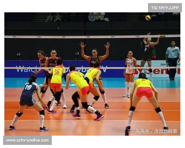 江门青少年队全力以赴横扫赛场勇夺冠军展现绝对实力